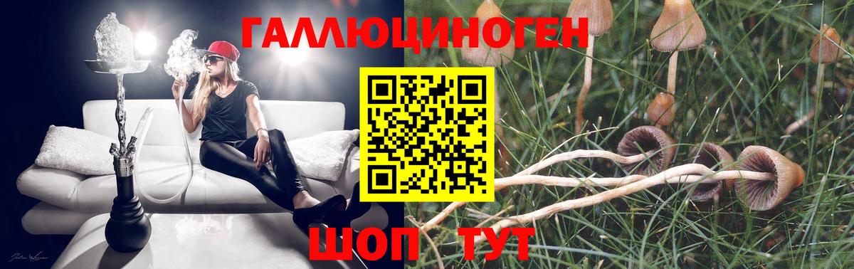 Псилоцибиновые грибы MAGIC MUSHROOMS  Вход с VPN  Донецк  Псилоцибиновые грибы мицелий 