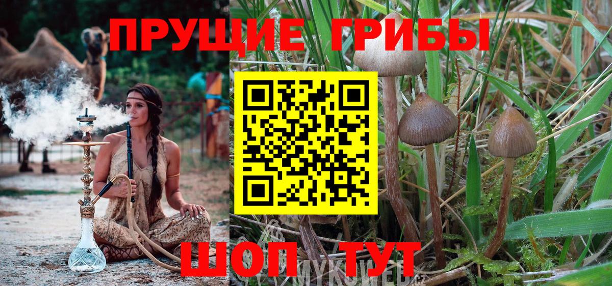 Псилоцибиновые грибы Magic Shrooms Донецк